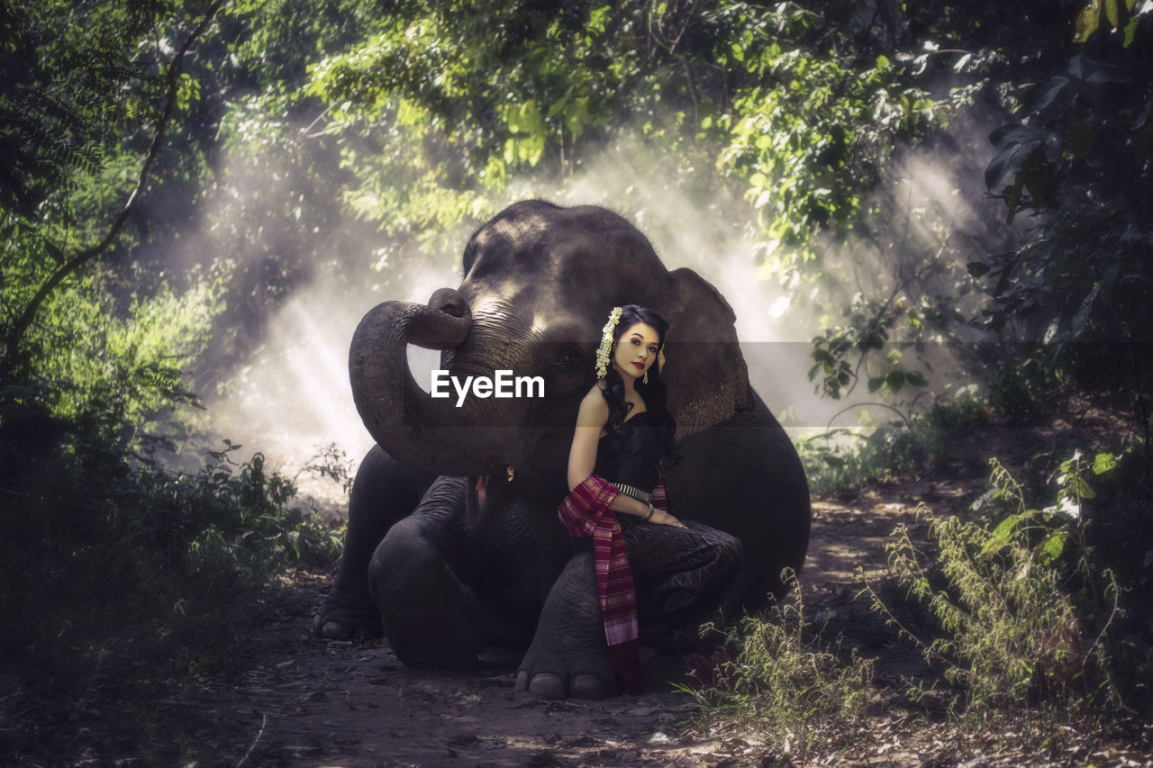 Young woman sitting on elephant in forest