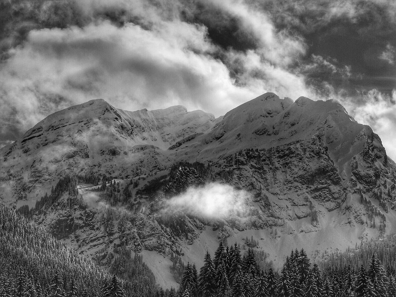 SCENIC VIEW OF TREE MOUNTAIN AGAINST SKY