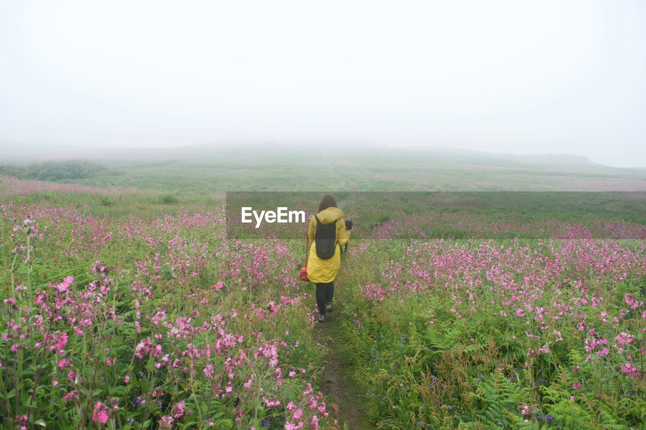 Rear view of woman walking on field