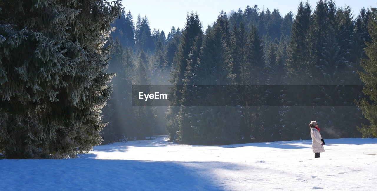 rear view of woman skiing on snow covered landscape