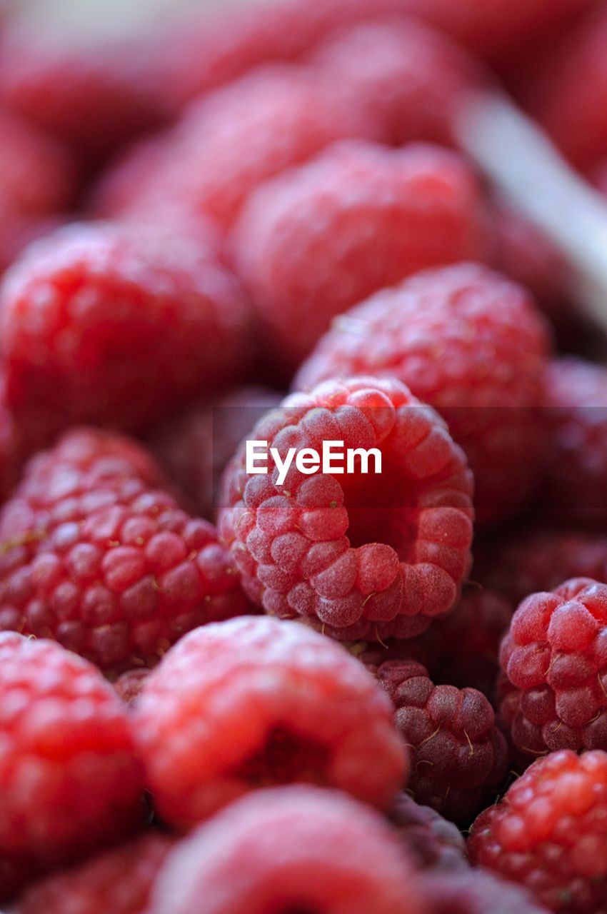 CLOSE-UP OF STRAWBERRIES