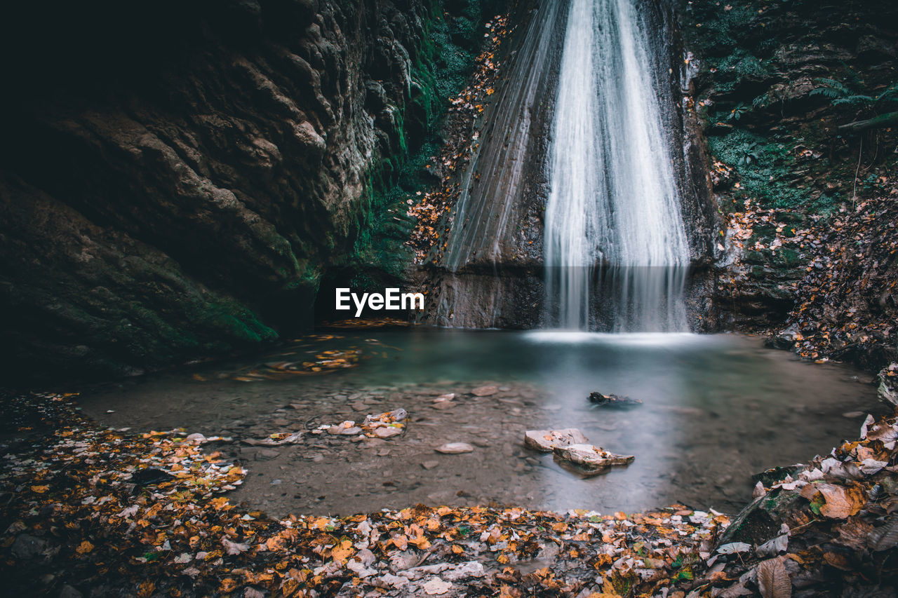 Scenic view of waterfall in forest