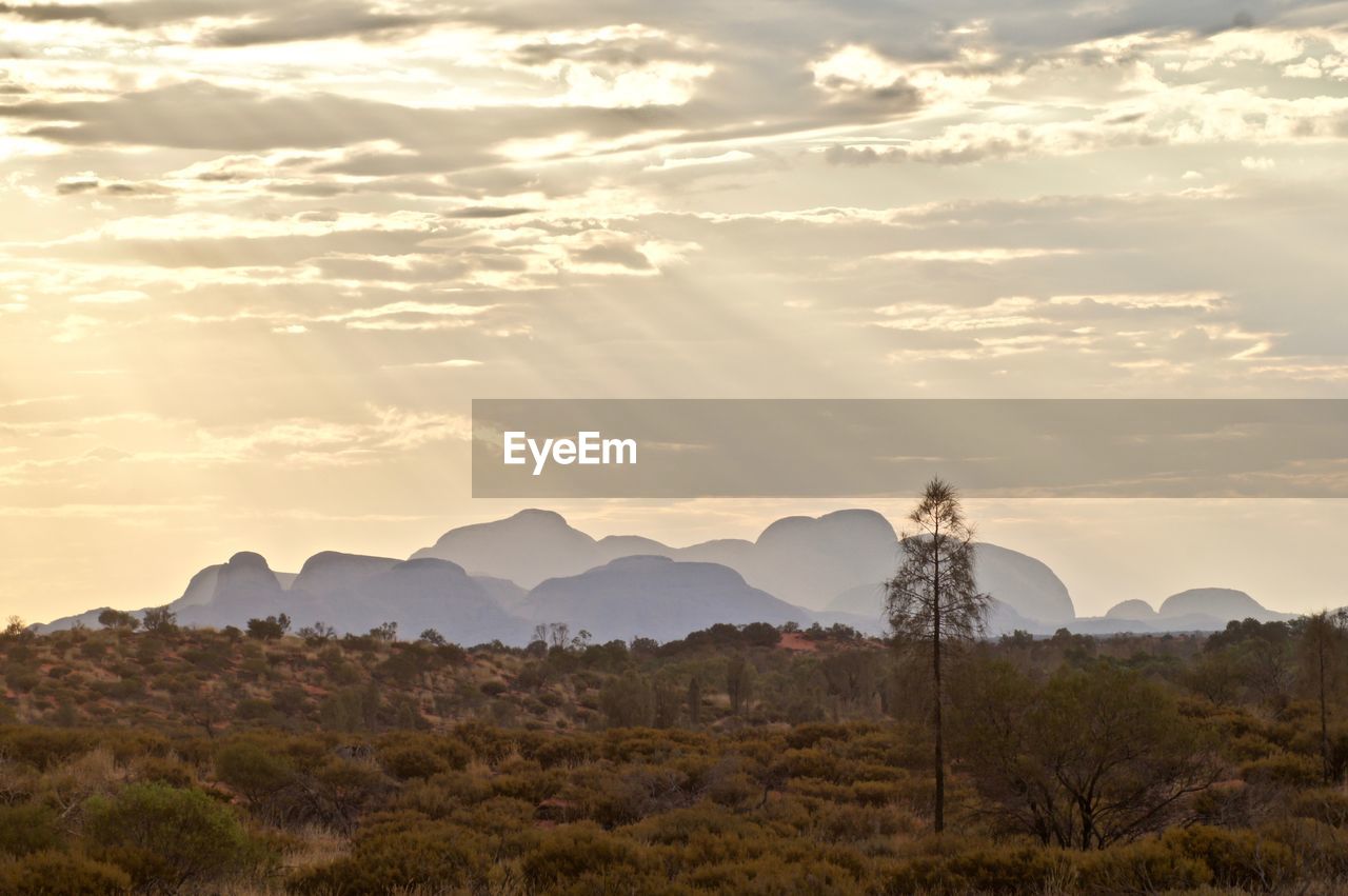 Australian outback as the last rays of the sunset fall on the desert and a distant rocky outcrop. 