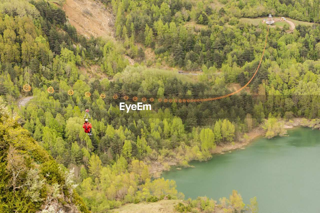 SCENIC VIEW OF RIVER IN FOREST