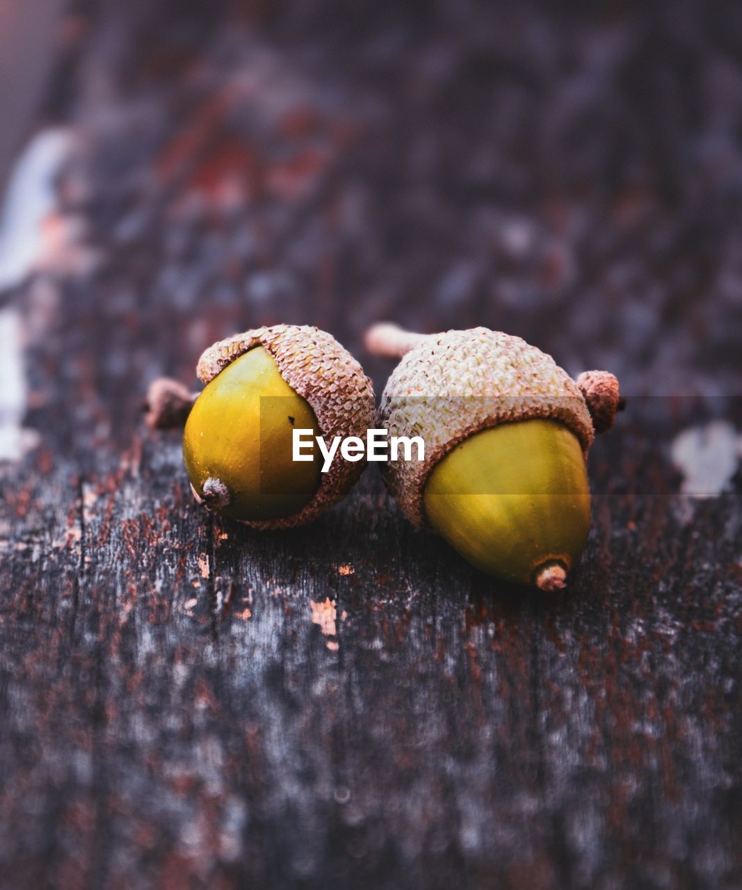 CLOSE-UP OF LEMON ON WOOD