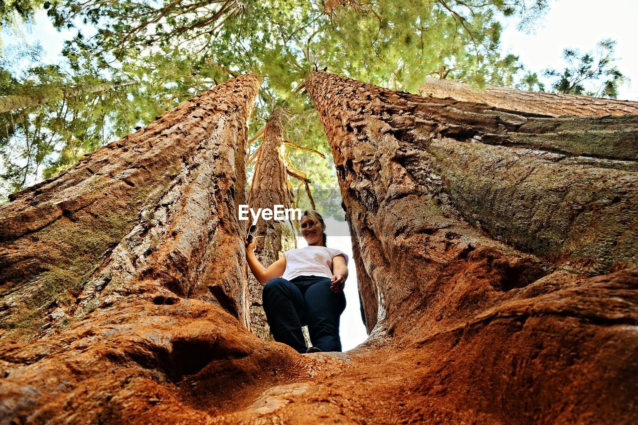 Low angle portrait of mid adult woman standing on tree in forest