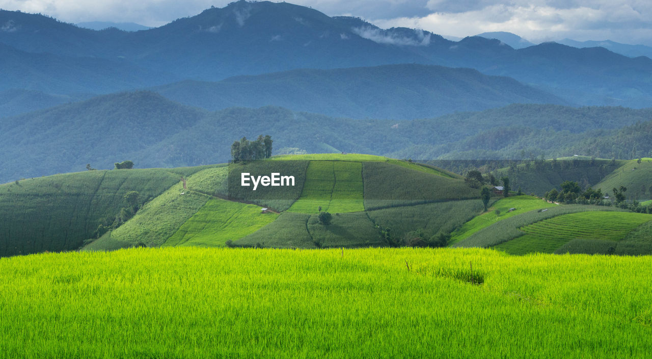 Scenic view of agricultural field against mountains