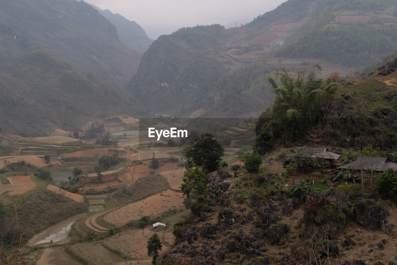 HIGH ANGLE VIEW OF TREES ON MOUNTAIN