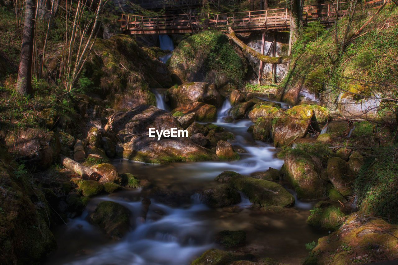 RIVER FLOWING AMIDST ROCKS IN FOREST