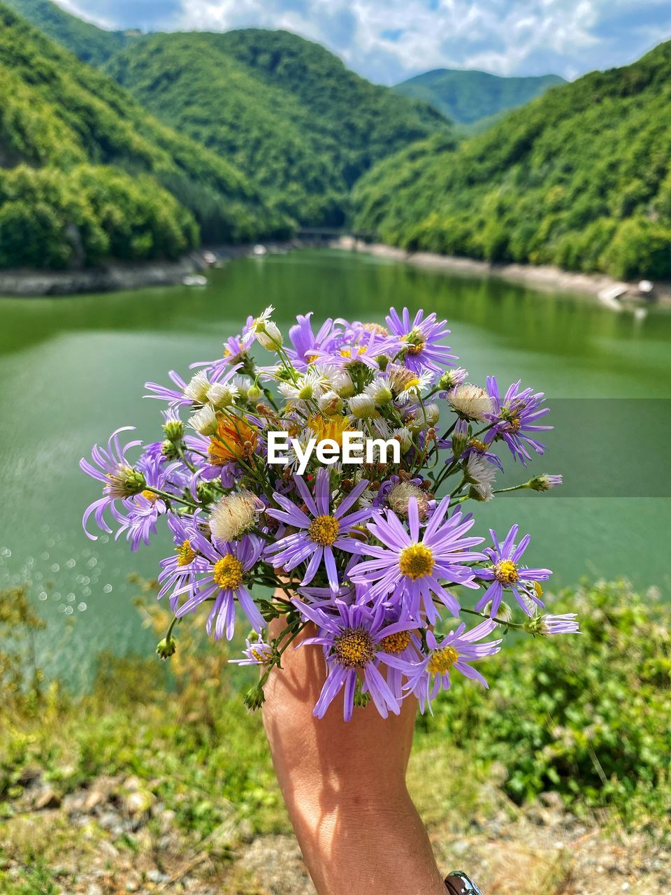 CLOSE-UP OF HAND HOLDING PURPLE FLOWER