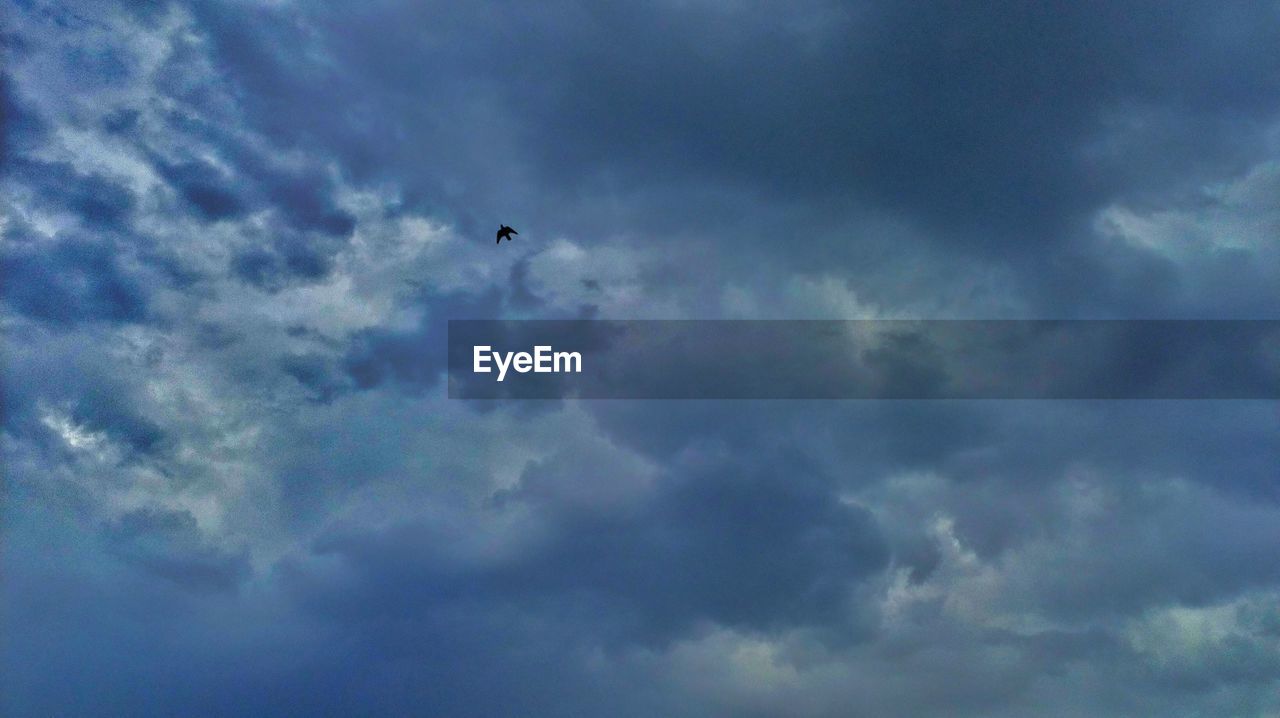 LOW ANGLE VIEW OF SILHOUETTE BIRD FLYING AGAINST SKY