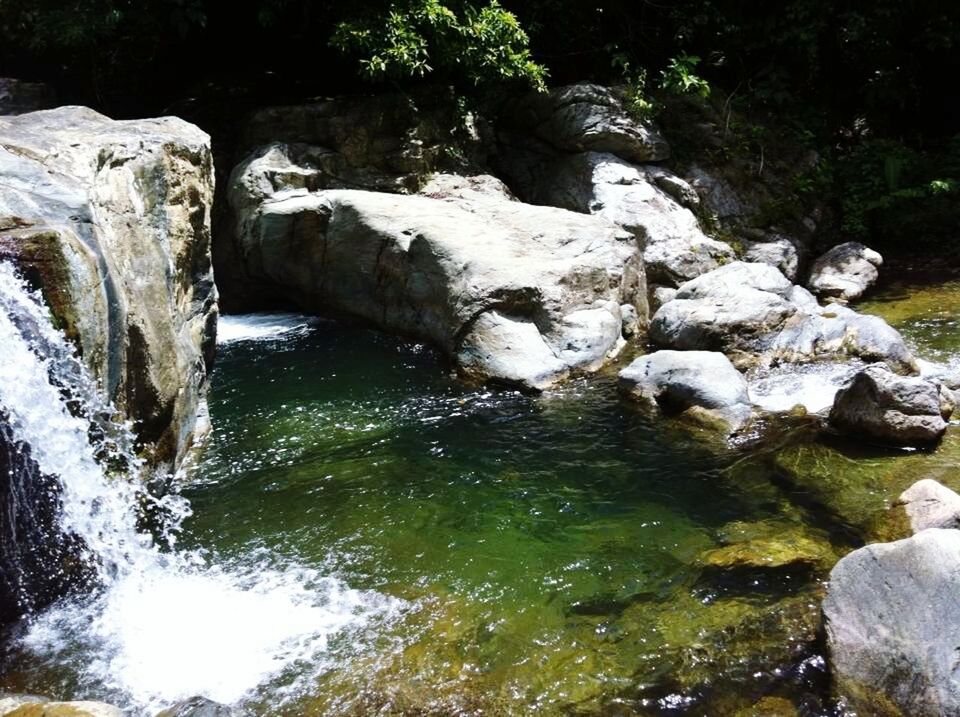 SCENIC VIEW OF WATERFALL