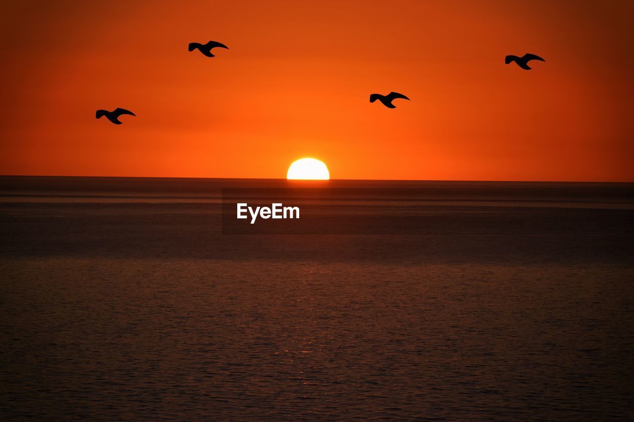 SCENIC VIEW OF SUNSET OVER SEA