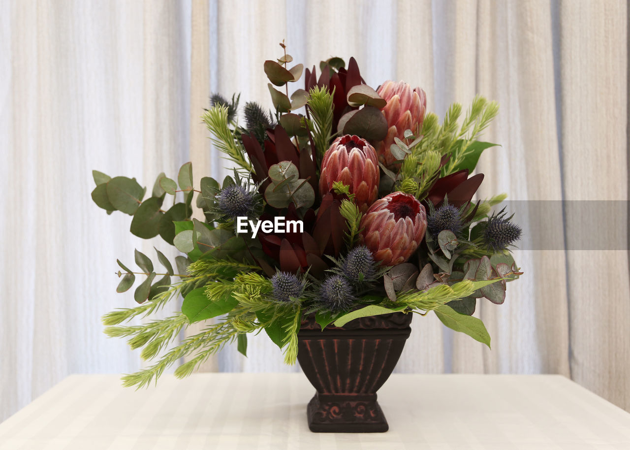 Close-up of flower pot on table