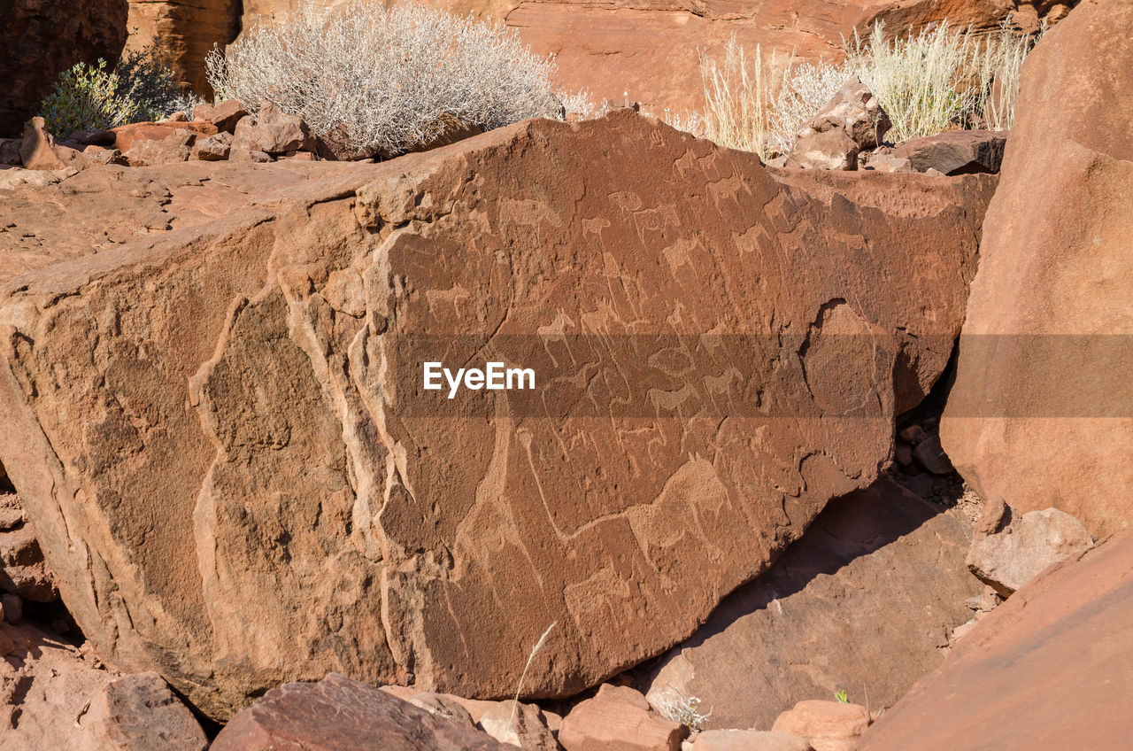 Close-up of famous twyfelfontein rock painting and scratching in damaraland, namibia, africa