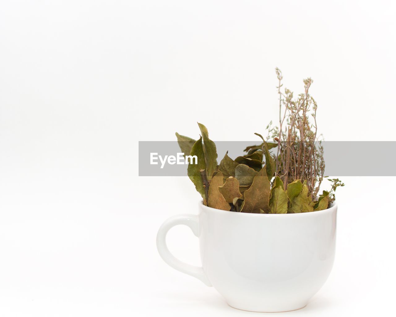 Bay leaves and thyme in a big white mug on white background