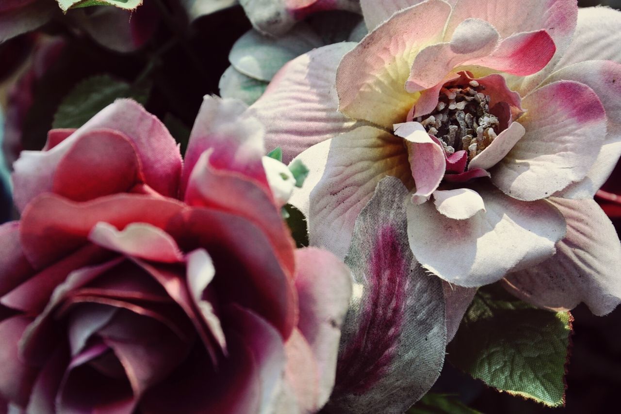 Close-up of artificial flowers