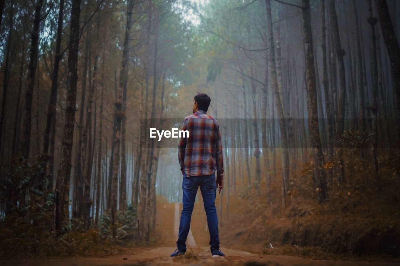 Rear view of man standing by trees in forest