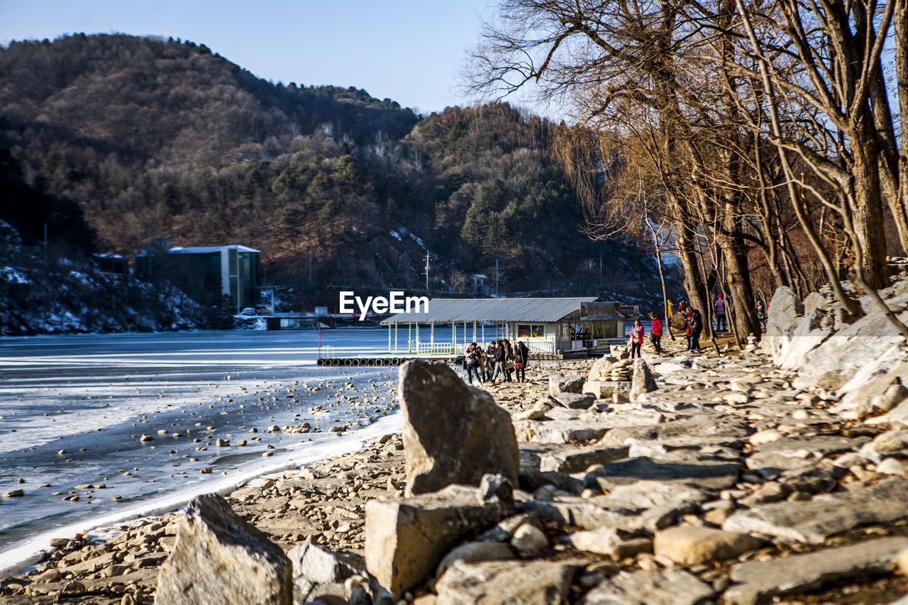 VIEW OF TREES ON ROCKS