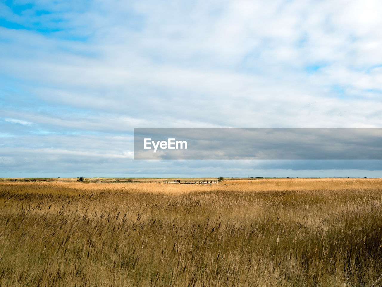 VIEW OF HAY BALES ON FIELD AGAINST SKY