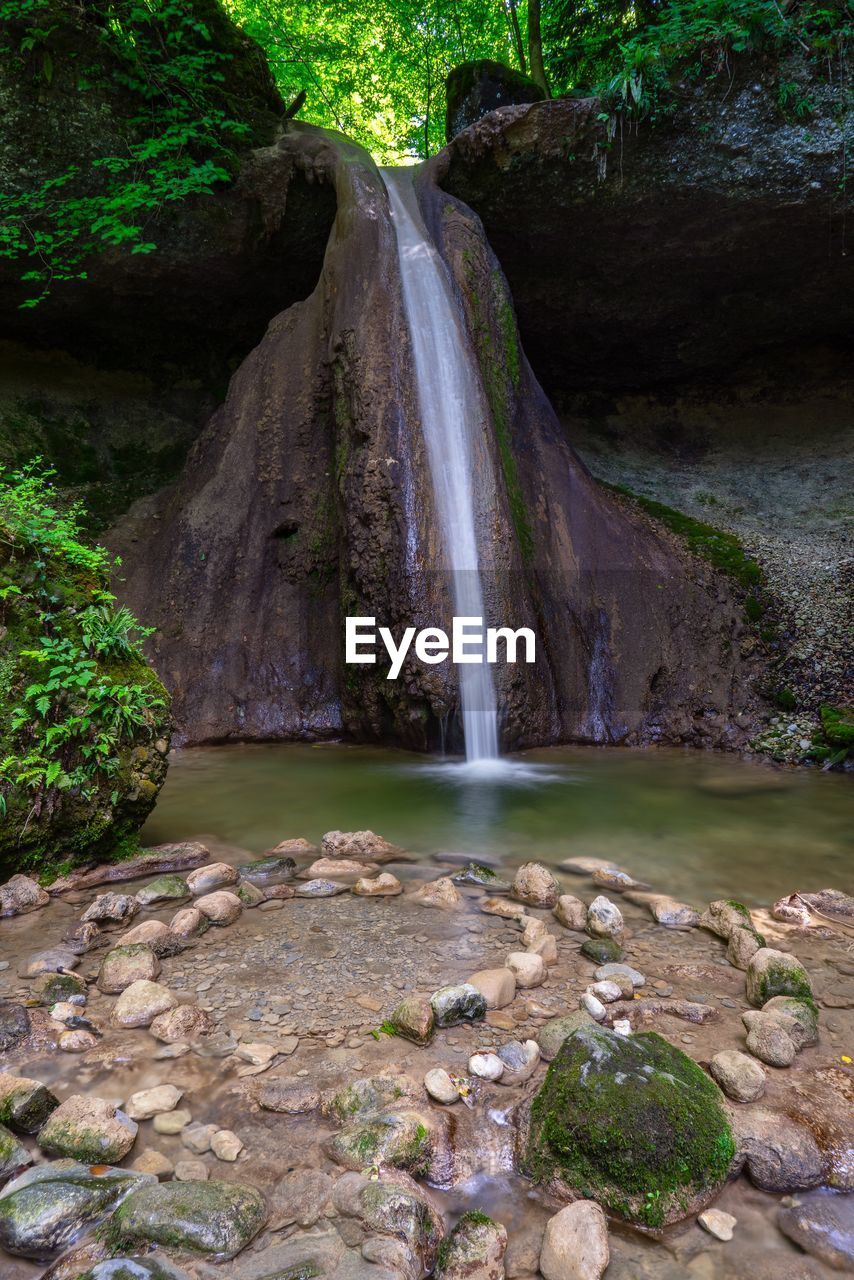 VIEW OF WATERFALL IN FOREST