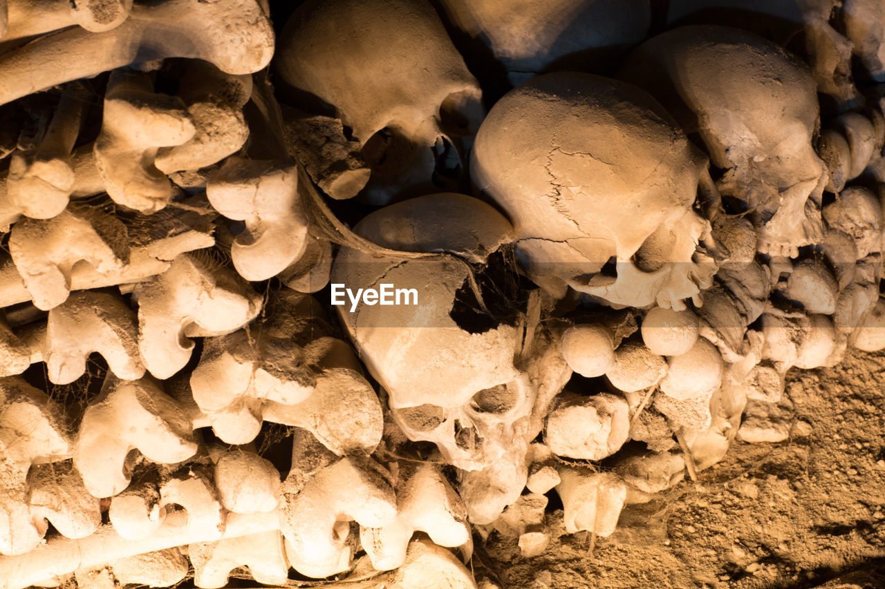 Full frame shot of human skulls