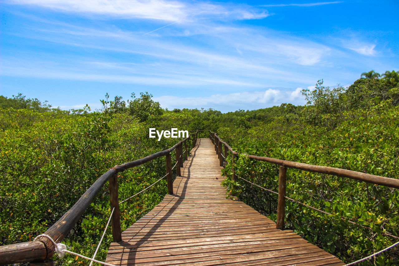 FOOTBRIDGE OVER TREES AGAINST SKY