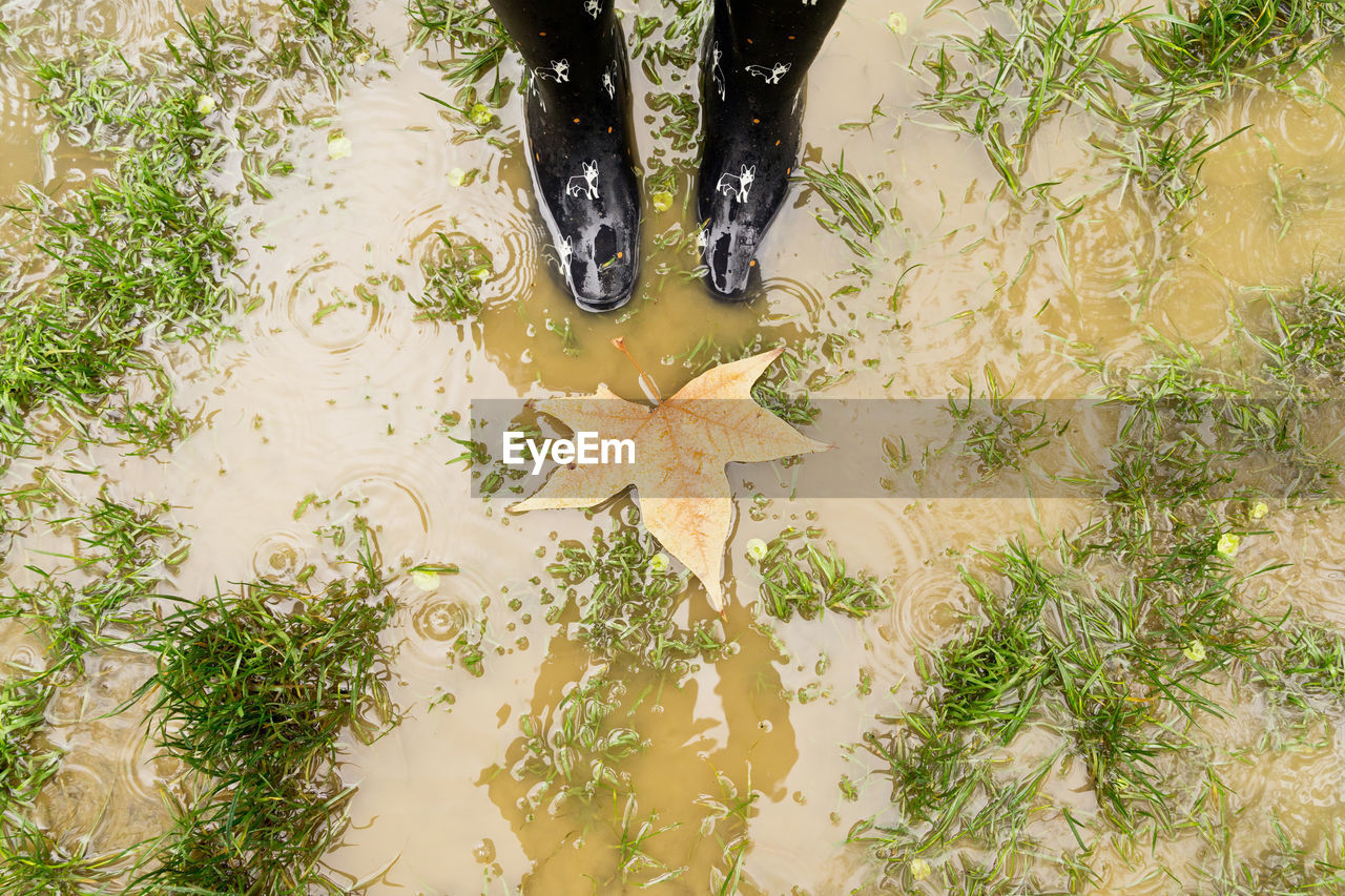 low section of woman standing on wet street