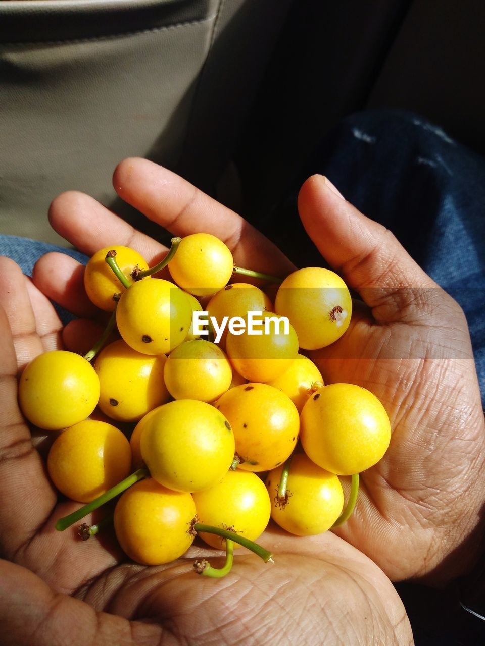 HIGH ANGLE VIEW OF PERSON HOLDING FRUITS