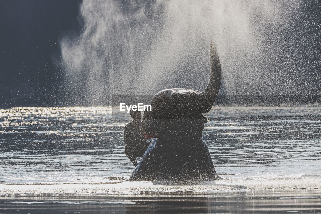 Mature man sitting on elephant in lake