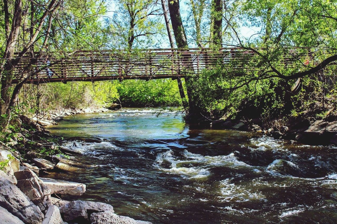 RIVER PASSING THROUGH FOREST