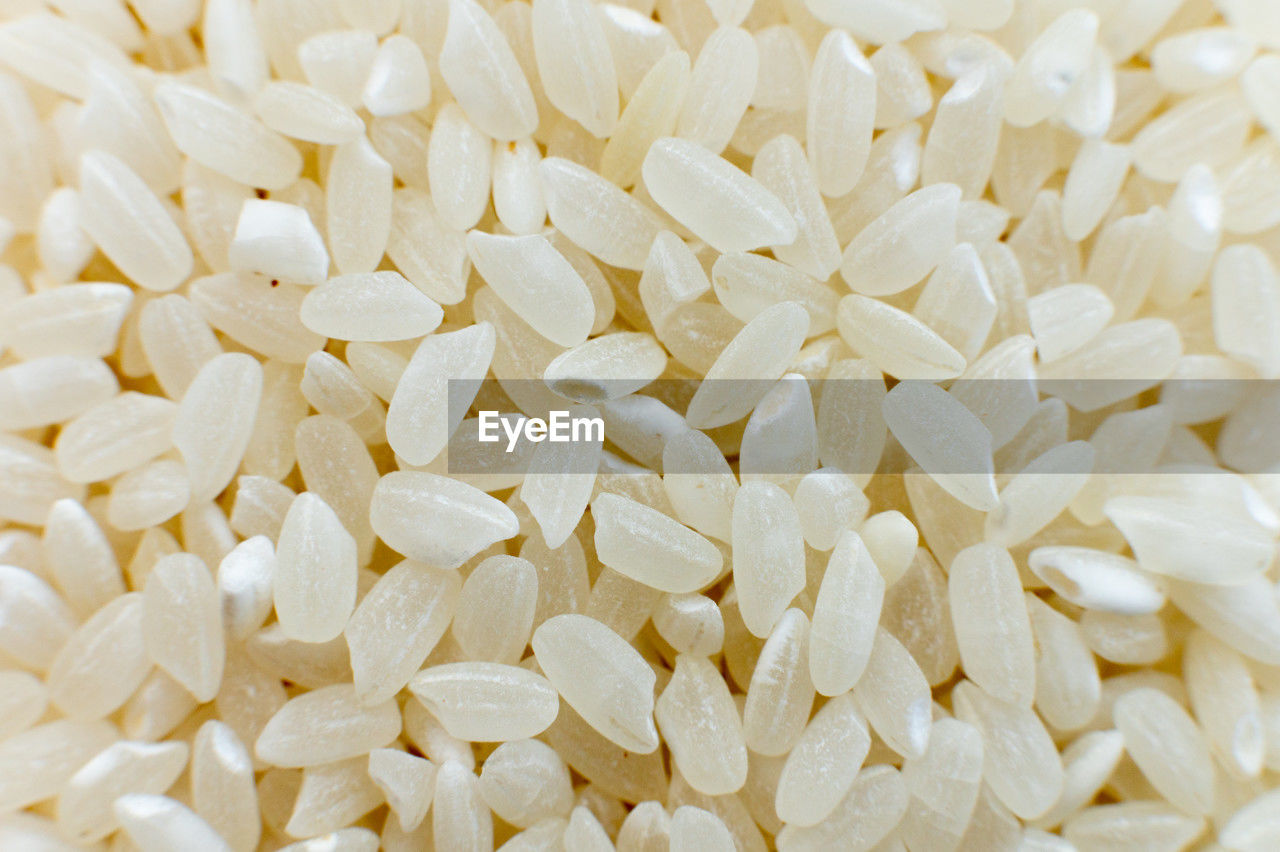 jasmine rice, white rice, rice, food grain, full frame, food, food and drink, large group of objects, backgrounds, abundance, produce, no people, close-up, wellbeing, freshness, white, vegetarian food, healthy eating, indoors, plant, rice - food staple, raw food, petal
