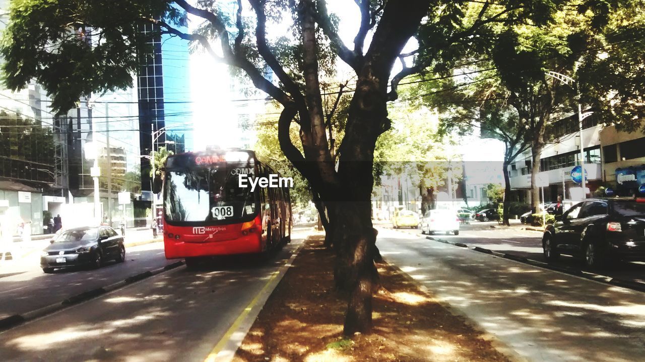 VEHICLES ON ROAD IN CITY