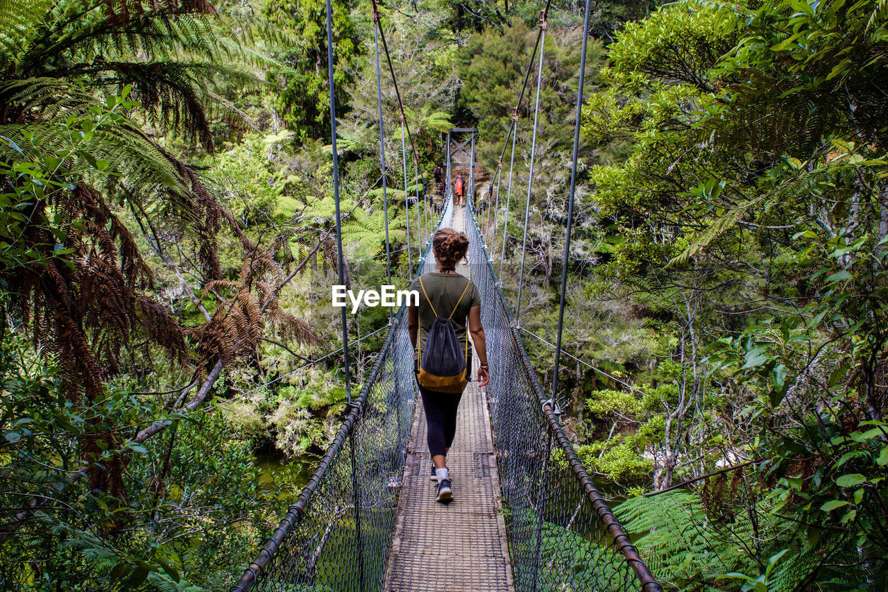 Rear view of woman walking on footbridge in forest