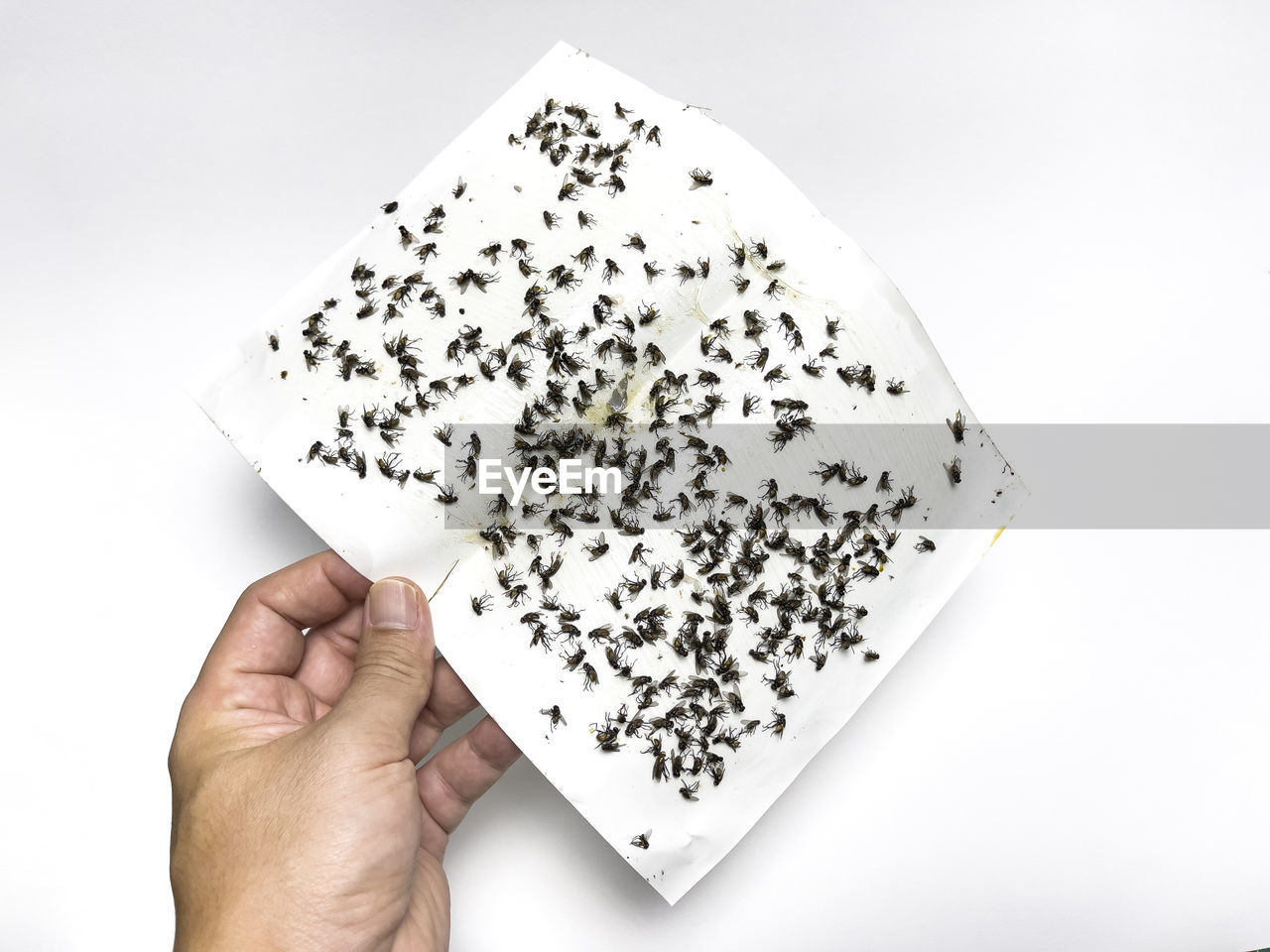 CLOSE-UP OF HAND HOLDING BREAD OVER WHITE BACKGROUND