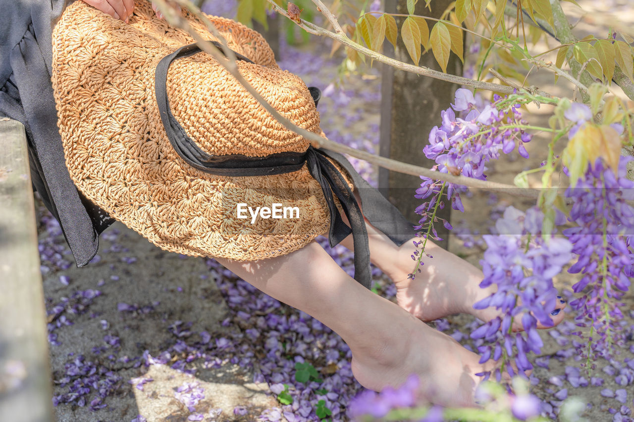 Purple flowers wisteria flowers asian girl nature. legs