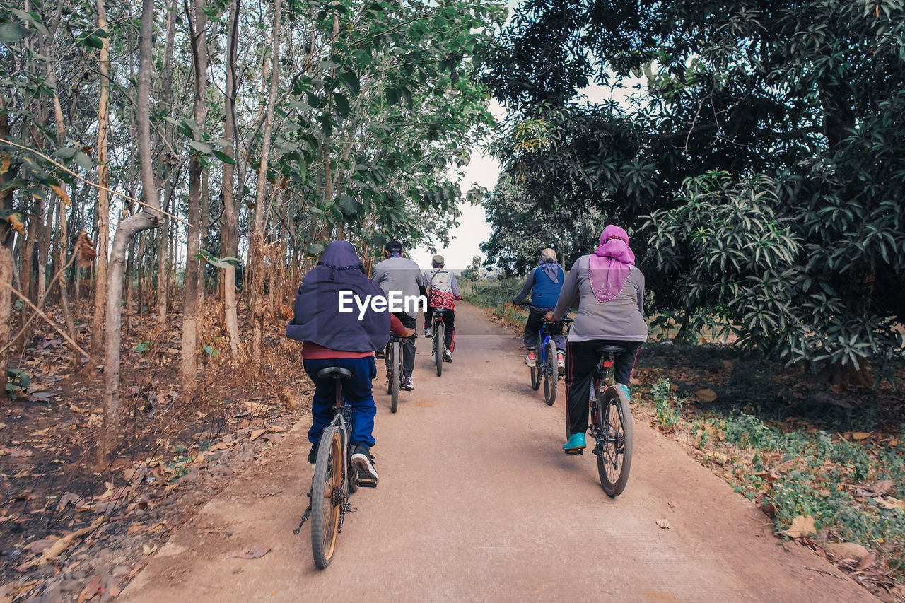 Rear view of people riding bicycle