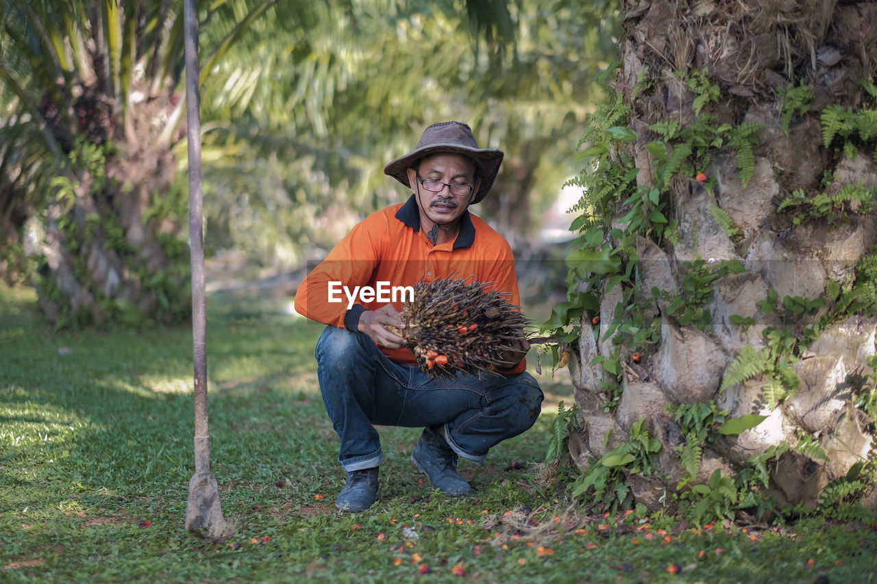 Man holding fruit at farm