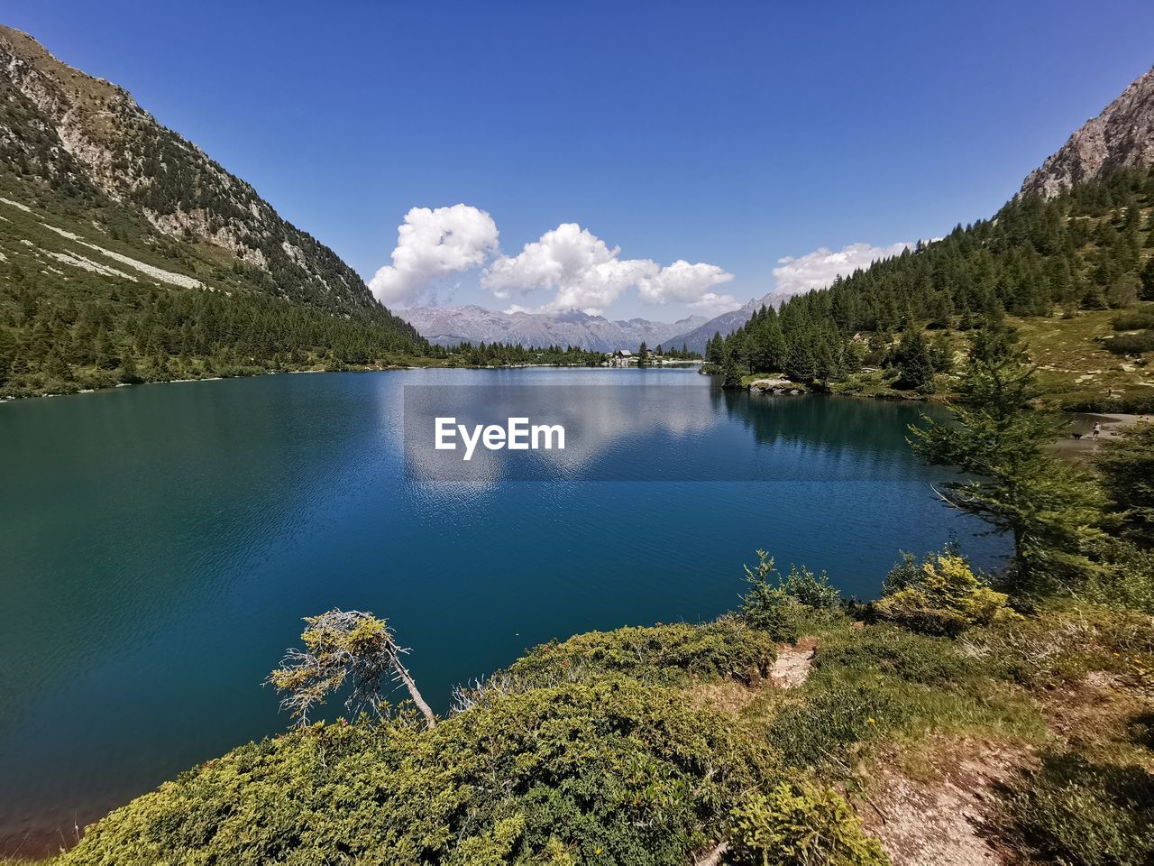 mountain, water, scenics - nature, beauty in nature, lake, environment, sky, nature, landscape, mountain range, tree, plant, tranquility, tranquil scene, reflection, forest, pine tree, wilderness, land, coniferous tree, pinaceae, body of water, travel destinations, no people, pine woodland, blue, travel, crater lake, reservoir, non-urban scene, snow, mountain peak, highland, tourism, outdoors, idyllic, cold temperature, activity, glacial lake, cloud, day, clear sky, snowcapped mountain, green, summer, leisure activity, vacation, woodland, adventure