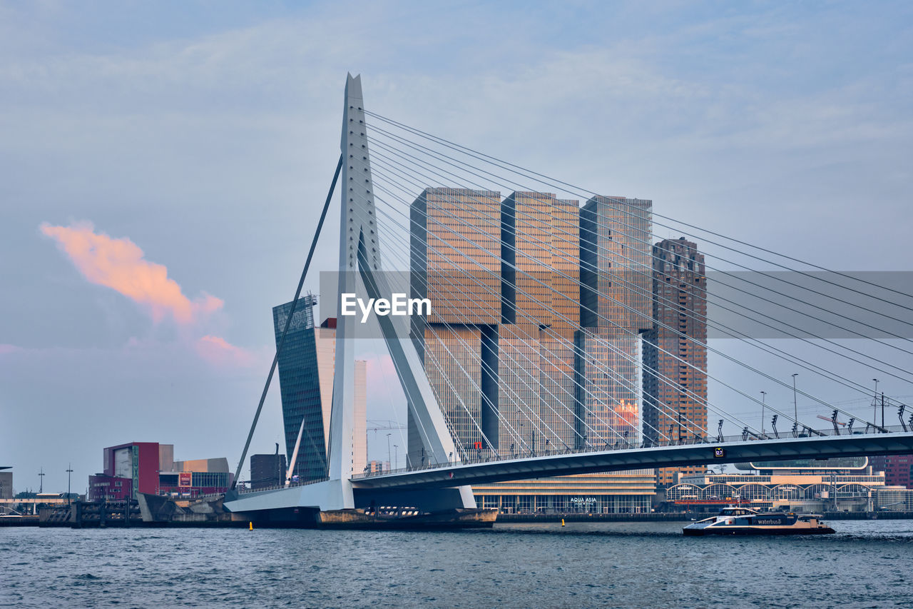 Rotterdam cityscape and erasmus bridge over nieuwe maas on sunset. rotterdam, netherlands