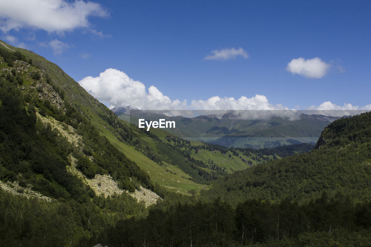 SCENIC VIEW OF MOUNTAIN AGAINST SKY