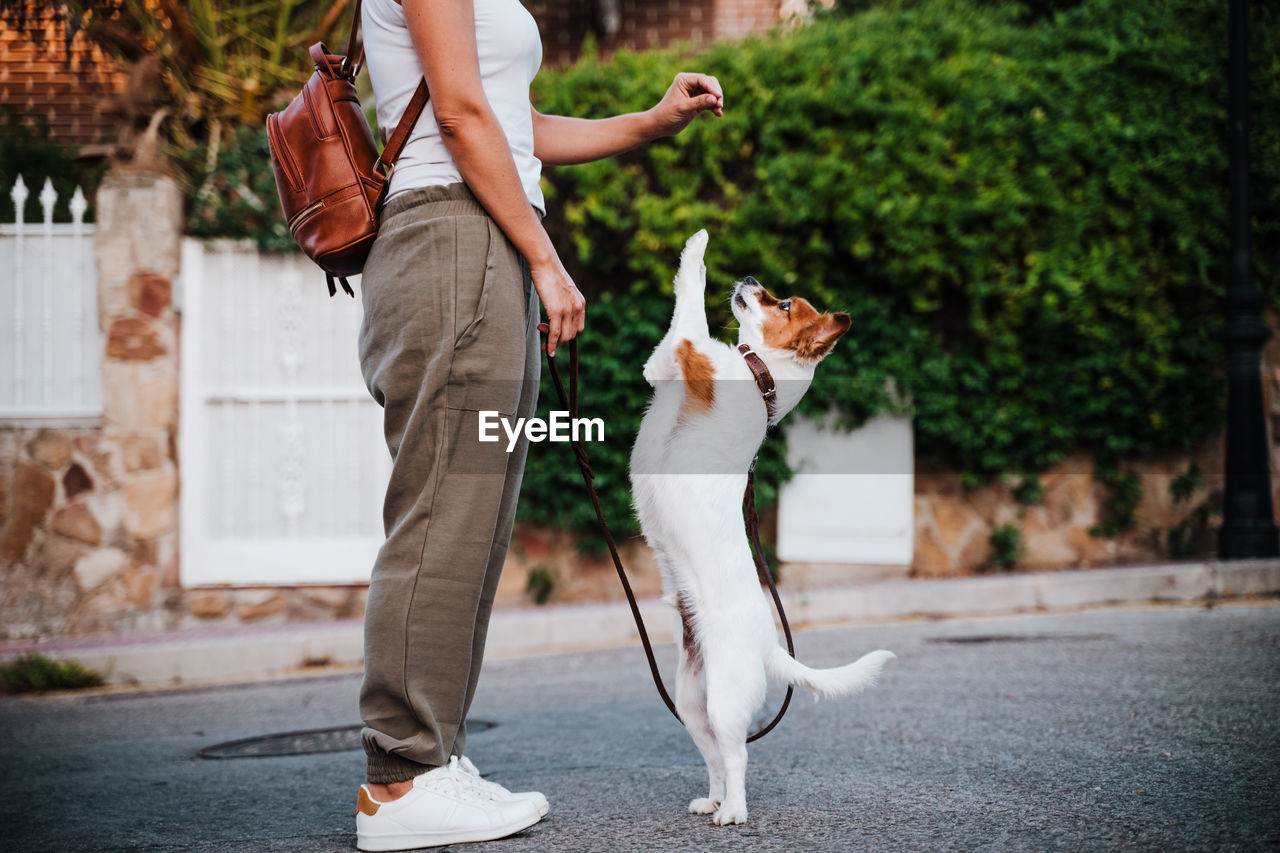 Low section of woman playing with dog standing in city