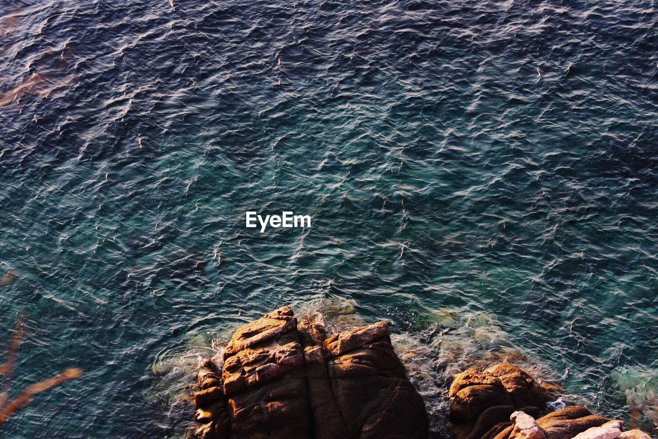 Close-up of rock in sea