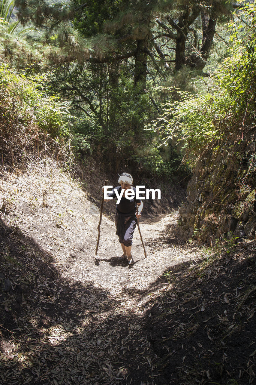 Senior woman hiking through forest at garajonay national park, la gomera, canary islands, spain