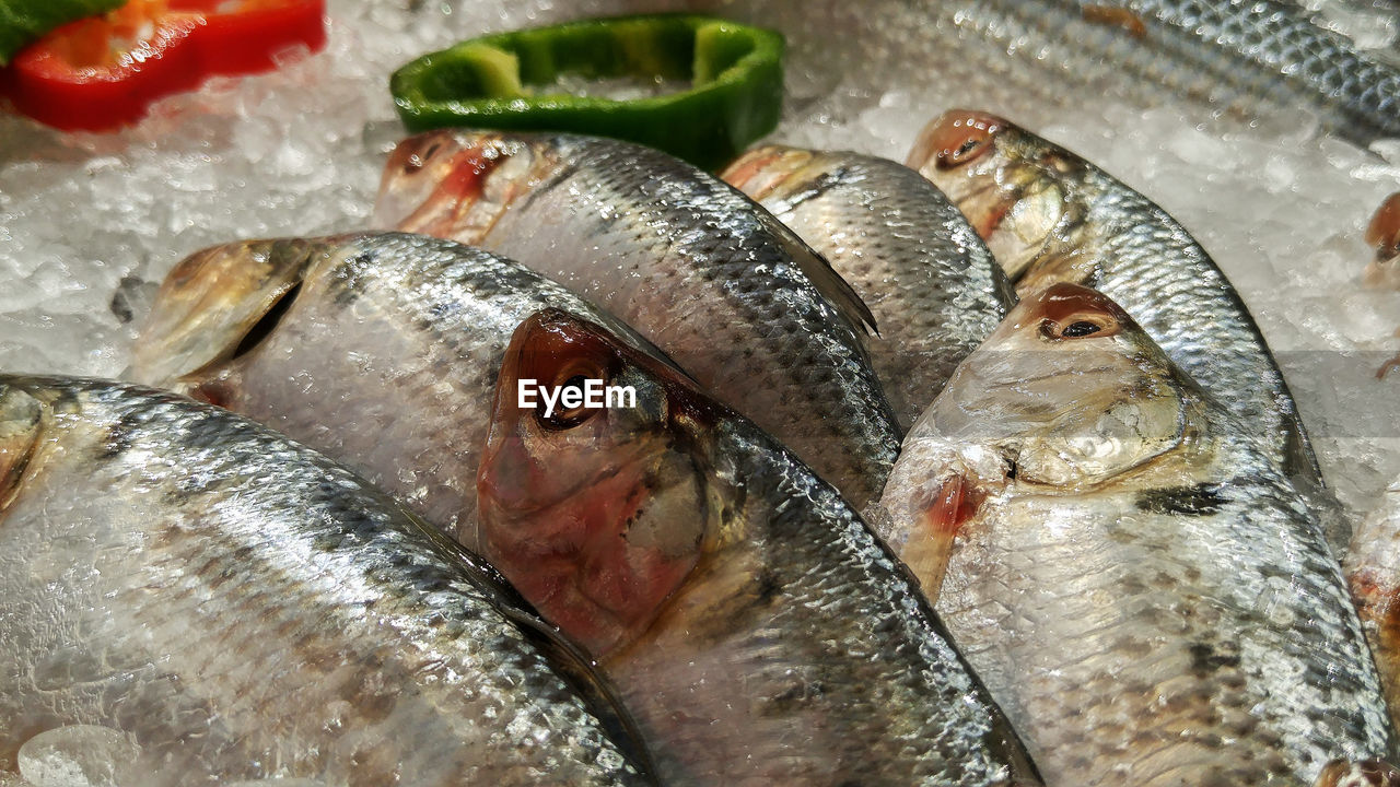 FISH FOR SALE IN MARKET