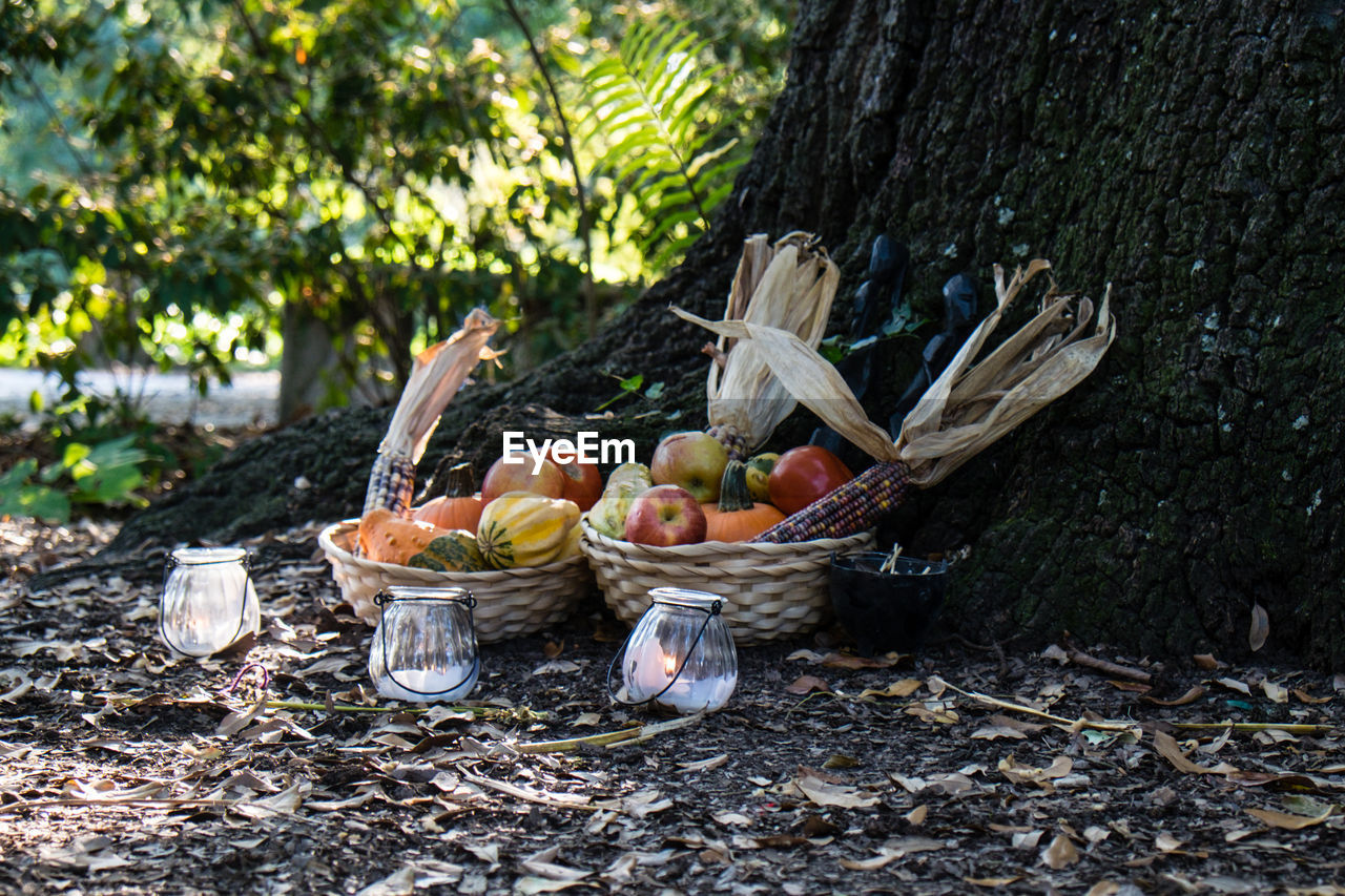 HIGH ANGLE VIEW OF VEGETABLES ON WOODEN TABLE