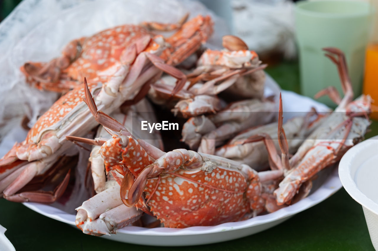 Close-up of seafood on table