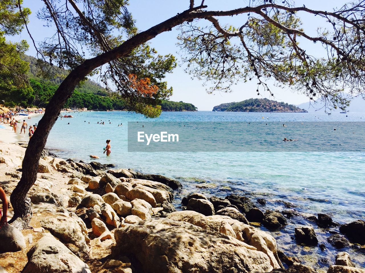 SCENIC VIEW OF SEA AGAINST TREES