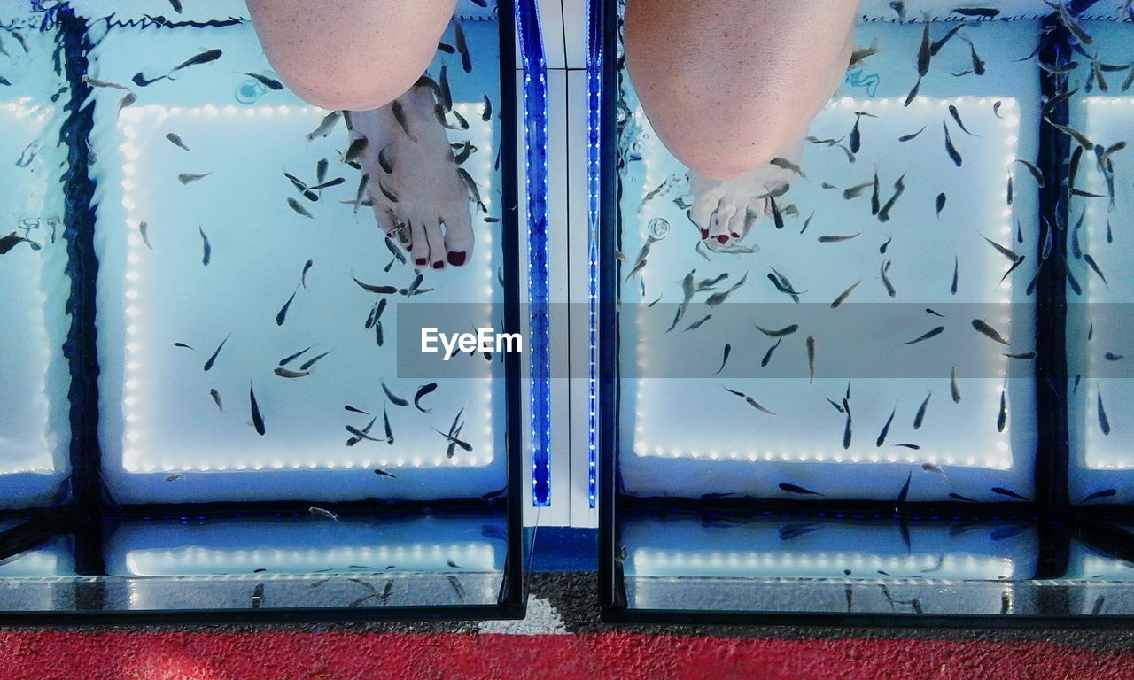 Low section of woman receiving fish pedicure