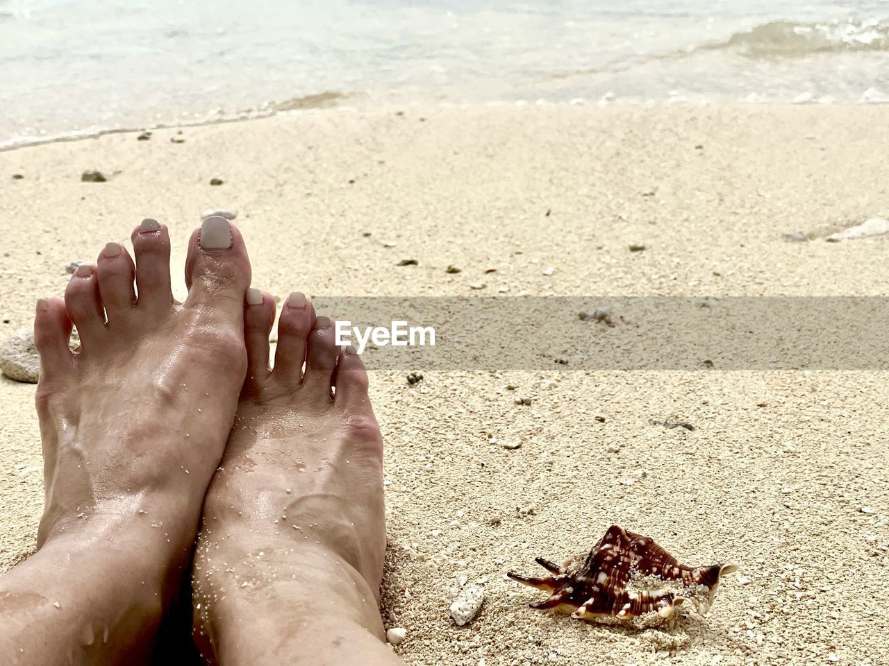 Female feet on the shore